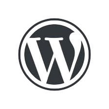 logn freelance digital marketing analyst in calicut